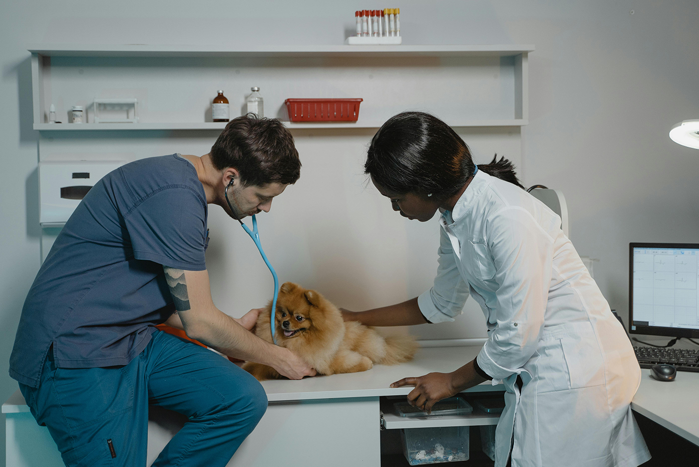 Catálogo veterinarios